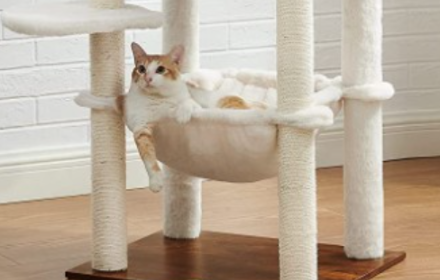 luck18xinli(�й���)-�ٷ���վ