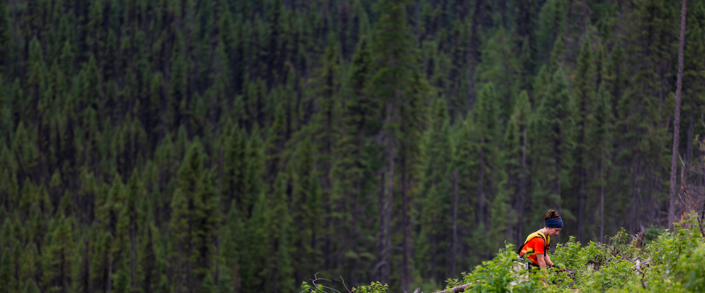 luck18xinli(�й���)-�ٷ���վ