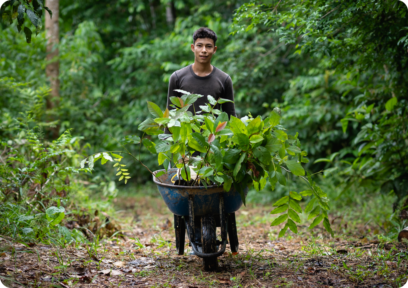 luck18xinli(�й���)-�ٷ���վ